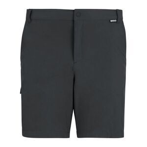 Regatta Professional Mens Light Insect Repellent Travel Shorts / Ash